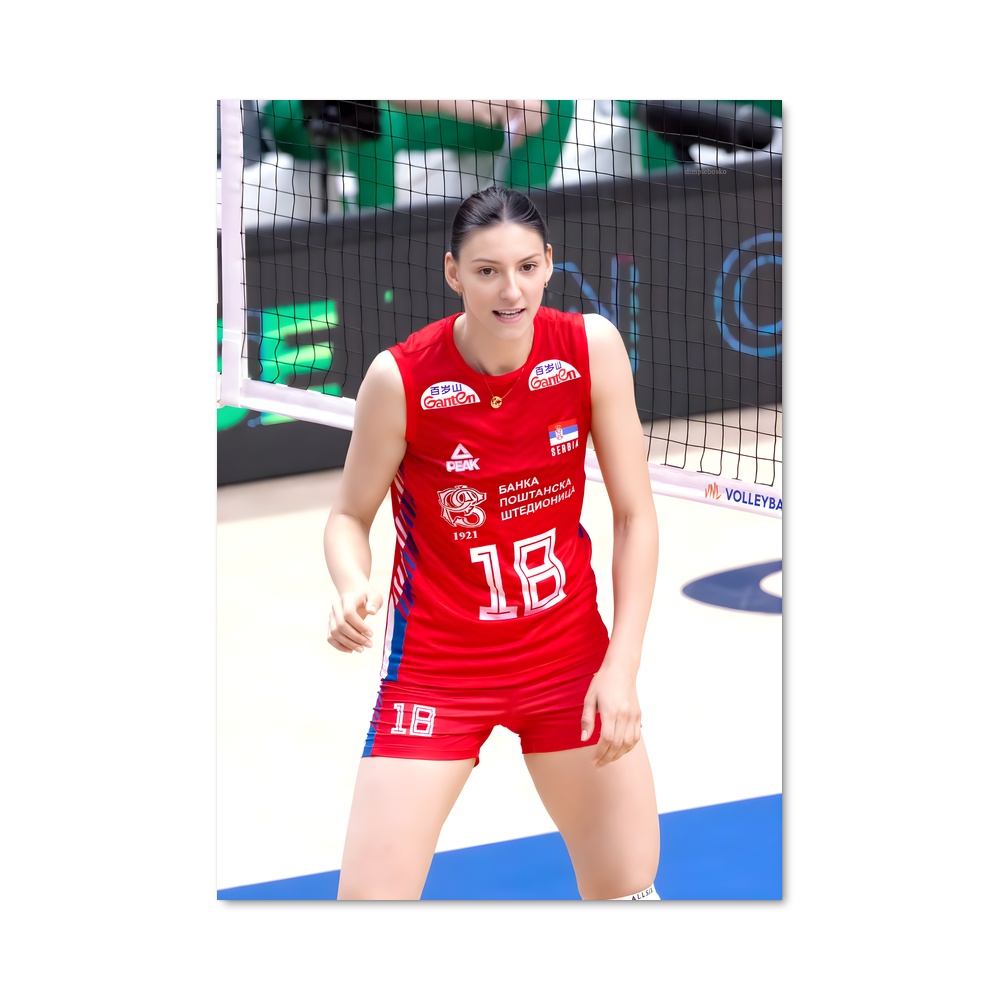 Poster Ace de Volleyball